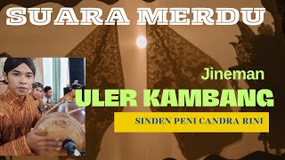 Jineman Uler Kambang Slendro 9 Sinden Peni Candra Rini Nyamleng