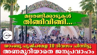 മലരണിക്കാടുകൾ തിങ്ങിവിങ്ങി... യാംബു പുഷ്പമേള 10 ദിവസം പിന്നിട്ടു, അണമുറിയാതെ​ ജനപ്രവാഹം