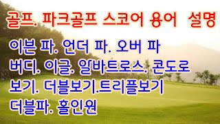 골프 스코어 용어.이븐 파,언더 파,오버 파,버디,이글,알바트로스,콘도르,오스트리치,보기,더블보기,트리플보기,쿼트러플보기,양파,더블 파,홀인원.파크골프 용어. 골프 용어.