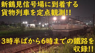 2020/06/06 [JR貨物][貨物列車] 新鶴見信号場に到着する貨物を定点観測!! 3時半ばから6時までの鐵路を収録!!