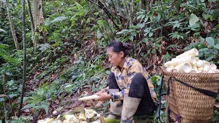 Harvest bamboo shoots \u0026 oranges goes to the market to sell - cooking | Triệu Thị Dất