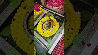 || Omkareshwar jyotirling || Mahakal jyotirlinga || Kashi Vishwanath jyotirling || trimbakeshwar ||