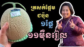 ត្រសក់ផ្អែមជប៉ុន១ផ្លែតម្លៃ១១ម៉ឺនរៀល | Japanese melon costs $27