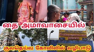 தை அமாவாசையில் குலதெய்வ கோவிலில் வழிபாடு #temple #god #vairal #trending @VELYOUTUBE534