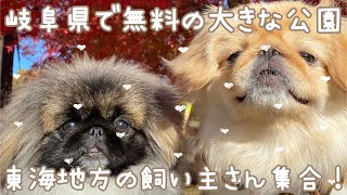 東海地方の飼い主さんおすすめ。無料の大きな公園、岐阜清流公園に行ってみた！