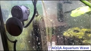 AQQA Aquarium Wave Maker, 3 Watt \u0026 8 Watt, for Better Water Circulation