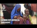 Horn of Africa drought: Aid agencies warn of humanitarian crisis