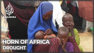 Horn of Africa drought: Aid agencies warn of humanitarian crisis