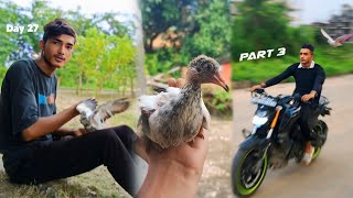 🤯Mastering Pigeon Flight Bike Training Guide / Kabutar bike Traning Video