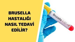 Brusella Hastalığı Nasıl Tedavi Edilir ? Brusella Hastalığına Ne İyi Gelir ?