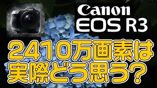 【カメラ】Canon EOS R3が2410万画素は実際どう思う?