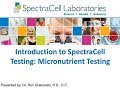 Introduction to SpectraCell:  Micronutrient Testing