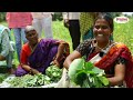 health benefits of green leafy vegetables best leafy vegetables rural media