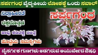 ಸರ್ಪಗಂಧ: ವೈದ್ಯಕೀಯ ಲೋಕಕ್ಕೆ ಒಂದು ಸವಾಲ್⚡rauvolfia serpentina⚡sarpagandha