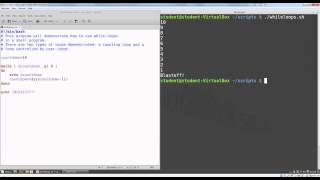 Week 7 - While Loops