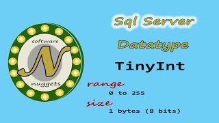 SQL Server: (L8) How to use the TINYINT data type