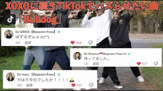 XOXOに続いてレペゼンフォックス『Bulldog』の全身ダンスをTIkTokでバズらせたい・・・！！