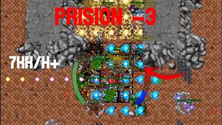 Tibia | Hunt Prision -3 | 7kk/h+ | Team lvl 300 (4 voc)