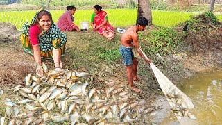 পুকুর থেকে চুনোমাছ ধরে বানালাম একেবারে নতুন একটি রেসিপি//pond fishing and cooking new recipe