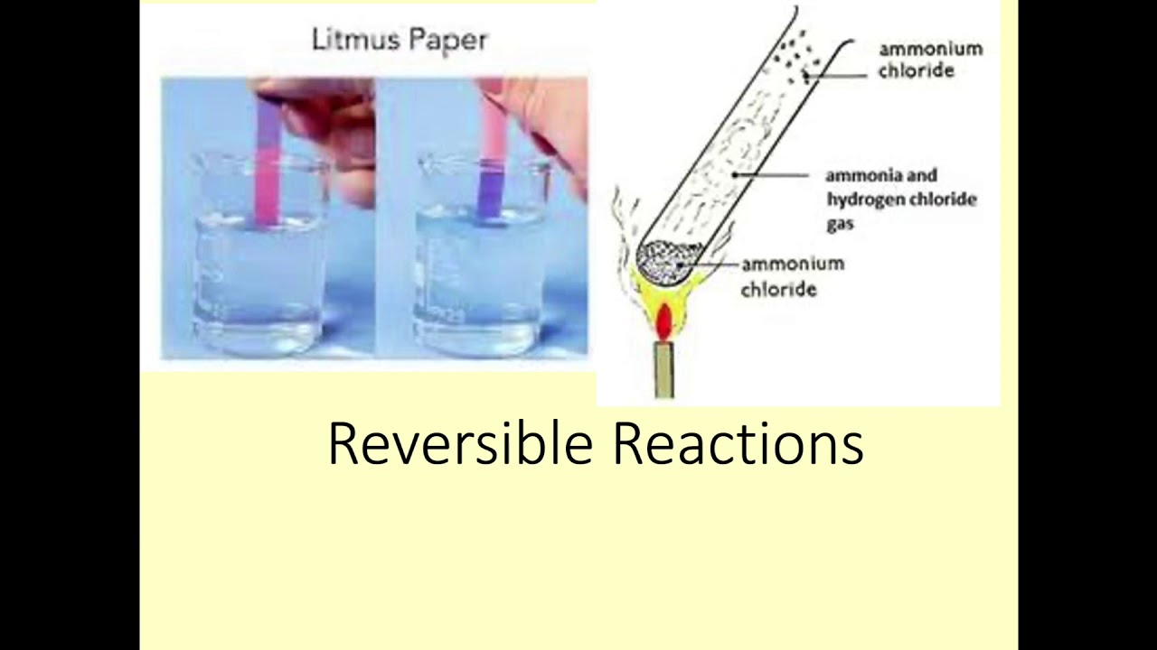 Year 11 Science Reversible Reactions - YouTube