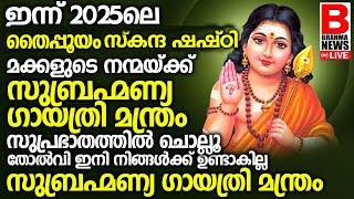 മക്കളുടെ നന്മയ്ക്ക് സുബ്രഹ്‌മണ്യ ഗായത്രി SUBRAHMANYA GAYATRI Skandaപ്രഭാതത്തില്‍ ചൊല്ലൂ.