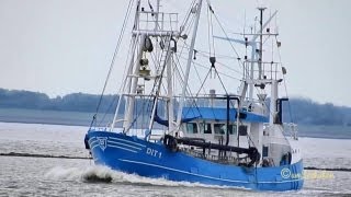 trawler Kutter MARTHA BRUHNS DQQJ MMSI 211586000 Emden