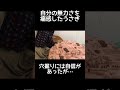 無力さを痛感した後こうなった うさぎ ライオンラビット