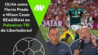 DE ARREPIAR! OLHA como Nilson Cesar PIROU ao NARRAR o Palmeiras TRICAMPEÃO da Libertadores!