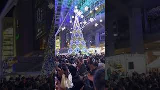 福岡クリスマスマーケット2023 CHRISTMAS MARKET in Hikari no Machi HAKATA #クリスマスマーケット #福岡グルメ  #福岡旅行