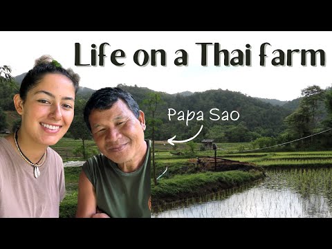 Volunteering on a farm in Thailand | Worldpackers Experience