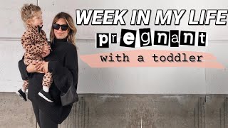 2nd Anatomy Scan, ALDI Haul, Christmas Shopping: Week in my Life Pregnant with a Toddler |Faith Drew