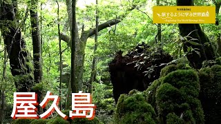 旅するように学ぶ世界遺産（短縮版）『屋久島』