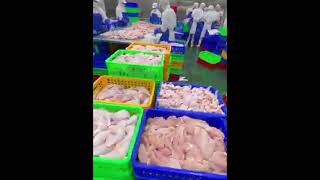 Wholesale of chicken meat in Cambodiaកន្លែងបោះដុំសាច់មាន់