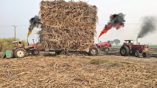 mf 385 tractor unbelievable power | 480 tractor power stunts | sugarcane tractor trolley video