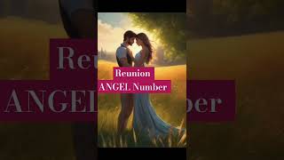 Twin flame Reunion Angel number's #shorts #twinflame #diviinetwinflame @diviine_twinflame