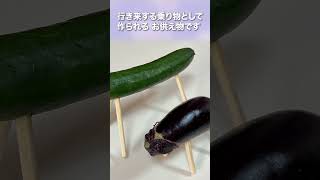 キュウリとナスを使ったお供え物の意味、ご存じですか？【セレモニー】#shorts