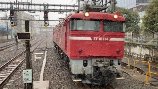 単9844　EF81-134