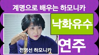 낙화유수                                 하모니카 연주C