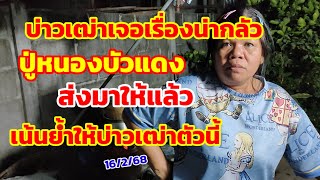 ปู่หนองบัวแดง ส่งมาให้แล้ว เน้นย้ำให้บ่าวเฒ่าตัวนี้ 16/2/68