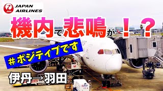 【初体験】大きな悲鳴が響く機内！|JAL ボーイング787-8 伊丹ー羽田