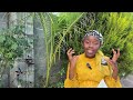 The Upside Down Kingdom | A Rebuke to Celebrity Preachers & the Church