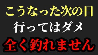 こういう日は本当に釣れません【村岡昌憲】