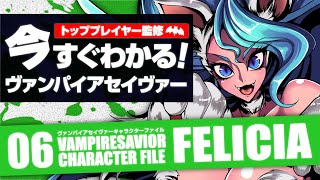 【ヴァンパイアセイヴァー】VAMPIRESAVIOR CHARACTER FILE06 FELICIA【フェリシア】