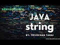 JAVA String Tutorial  ||  Core JAVA  ||  SILAN Software