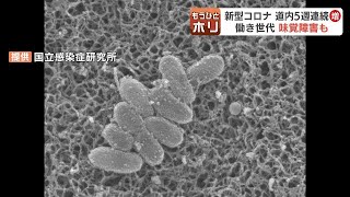 新学期に注意すべき感染症とは？北海道内で“５週連続増加”の新型コロナ　百日せきや手足口病などの流行も拡大中　北海道