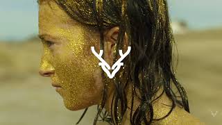 TIFF 2023 - Festival Trailer