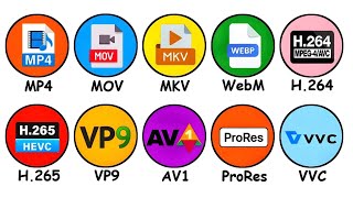 Every Video Format Explained in 16 Minutes