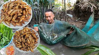Vô mùa vô mánh cá Lòng Tong. CÁ LÒNG TONG CHIÊN GIÒN, RAU SỐNG, MẮM CHUA - Bin Đen Family