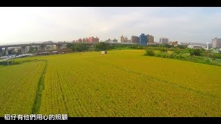 桃園區農會「以農為榮」廣告完整版 (2014台灣全國米產地冠軍賽)