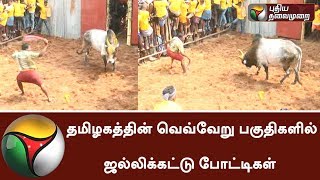 Jallikattu conducted all over TN on behalf of Kaanum Pongal